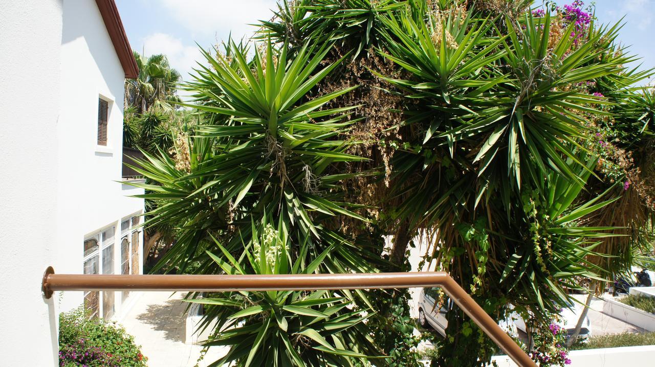 PaphosLimnaria Westpark 129公寓 外观 照片